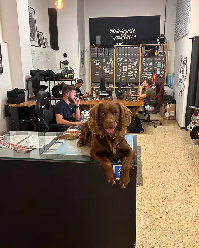 gran-canaria-las-palmas-office-canary-ride-19 svg+xml;charset=utf