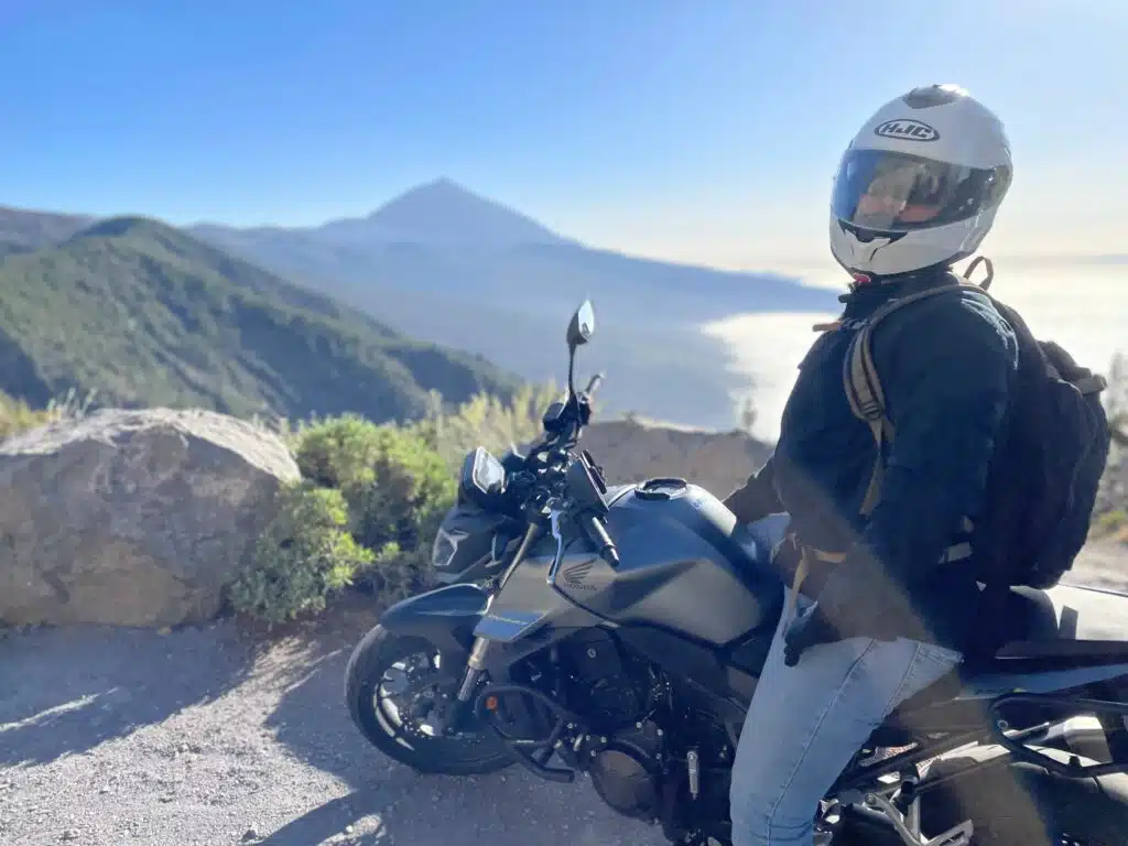 hornet svg+xml;charset=utf